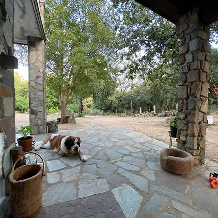 Agriturismo Pranu Sorgono Exterior photo