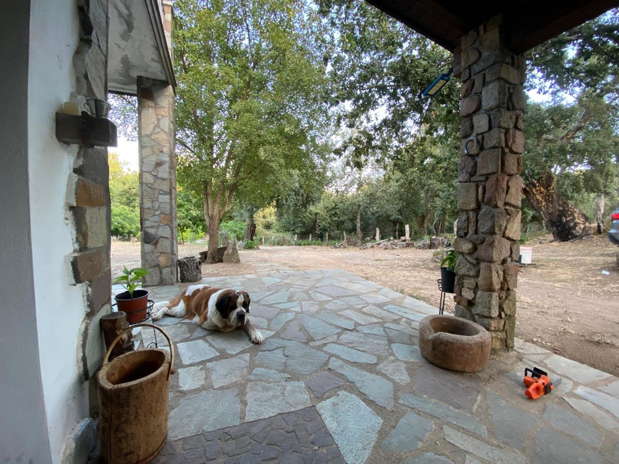 Agriturismo Pranu Sorgono Exterior photo